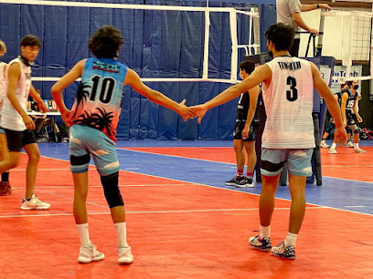 Miami United Volleyball